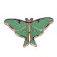 Silkworm Moth Enamel Brooch Fashion Jewelry Accessories